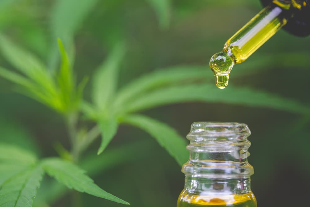 A drop of golden SōRSE liquid falling from a dropper into a glass bottle, with hemp leaves behind